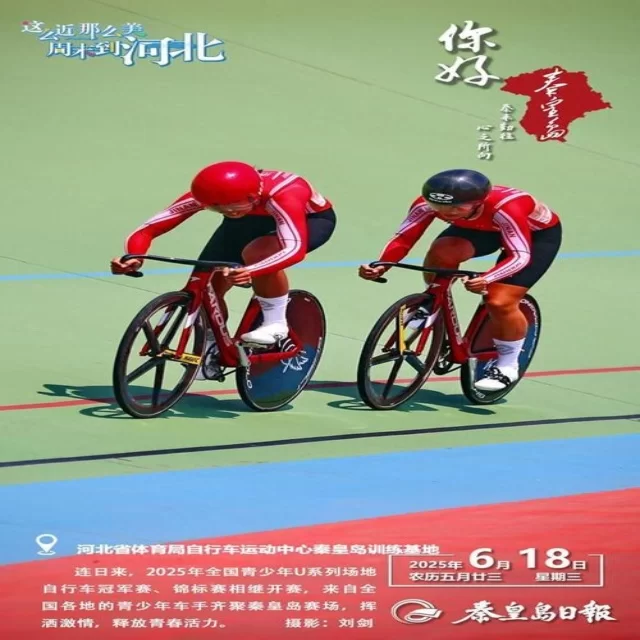 乒乓球冠军竞争格局的全景数据解析