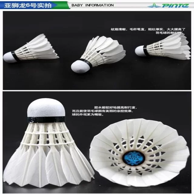 冯彬表现出色在钻石联赛中绽放光芒